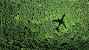 GSTC Partners with Sustainable First