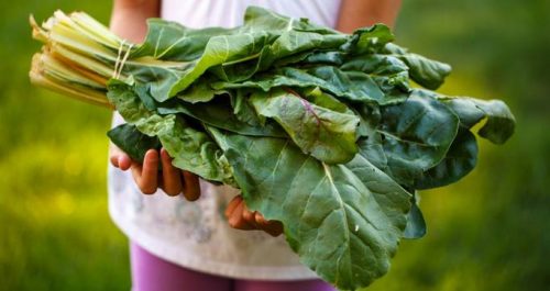 Leaders to Unlock More Sustainable and Equitable Food Future