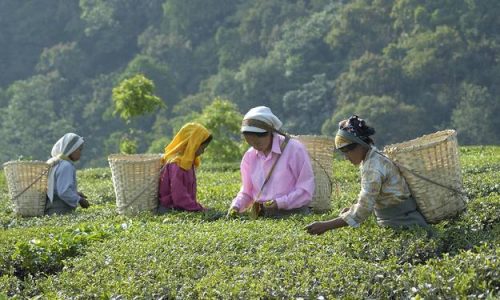 GSTC Formally Joins ISEAL as Community Member-TRAVELINDEX GSTC Formally Joins ISEAL as Community Member