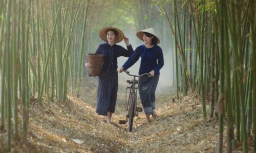 Destination Mekong Hires New Executive Team