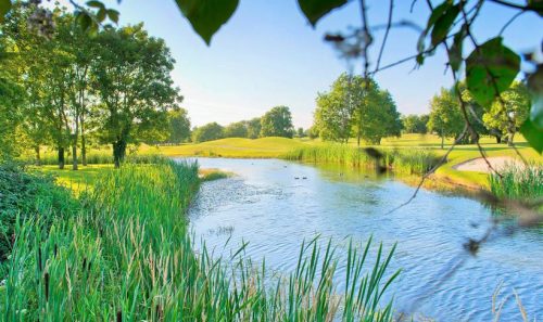 GreenClub and GEO Foundation Collaboration to Drive Golf Sustainability