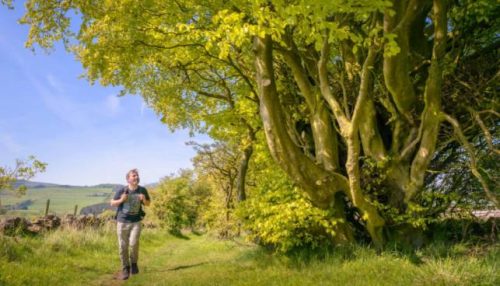 New Projects to Set Scottish Tourism Sector on Road to Net Zero
